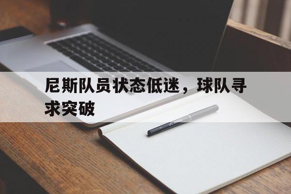 尼斯队员状态低迷，球队寻求突破的简单介绍