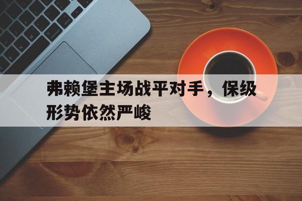 弗赖堡主场战平对手，保级形势依然严峻的简单介绍